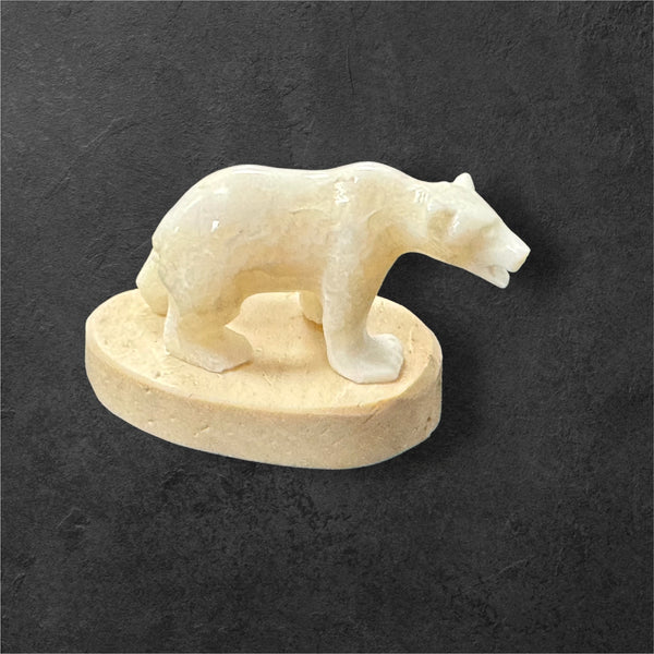 Ivory Bear