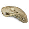 Eagle Jawbone Carving