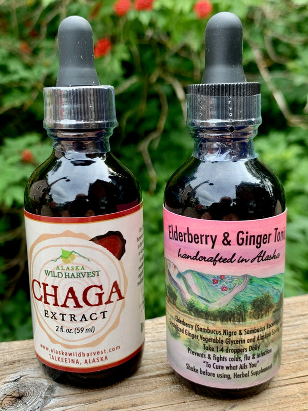 Elderberry & Chaga