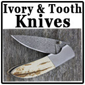 Mammoth Ivory & Tooth
