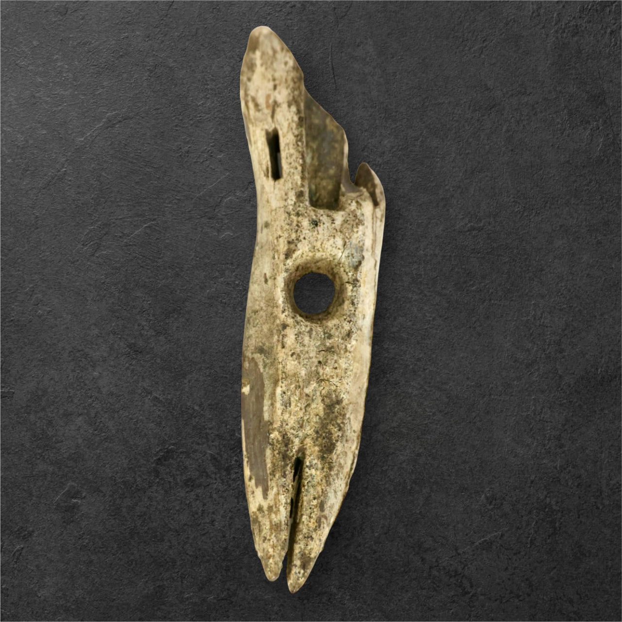 Fossil Ivory Artifact