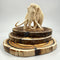 Mammoth Ivory Slice