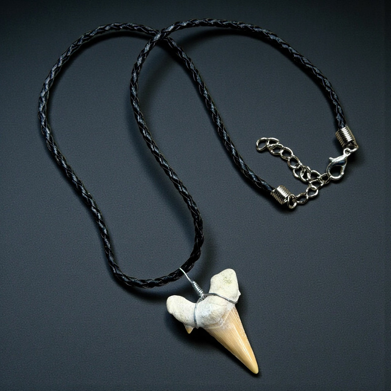 Shark Tooth Necklace