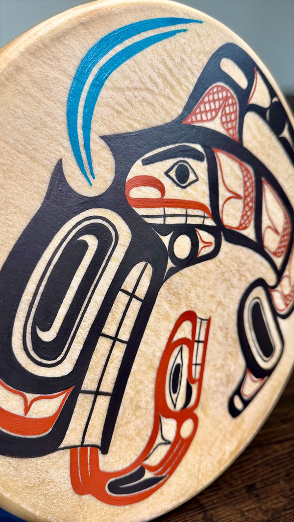 Killer Whale 12" Drum