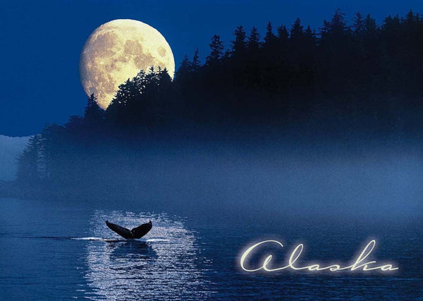 Humpback Whale Moonrise Postcard