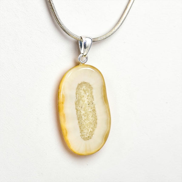 Walrus Ivory Pendant