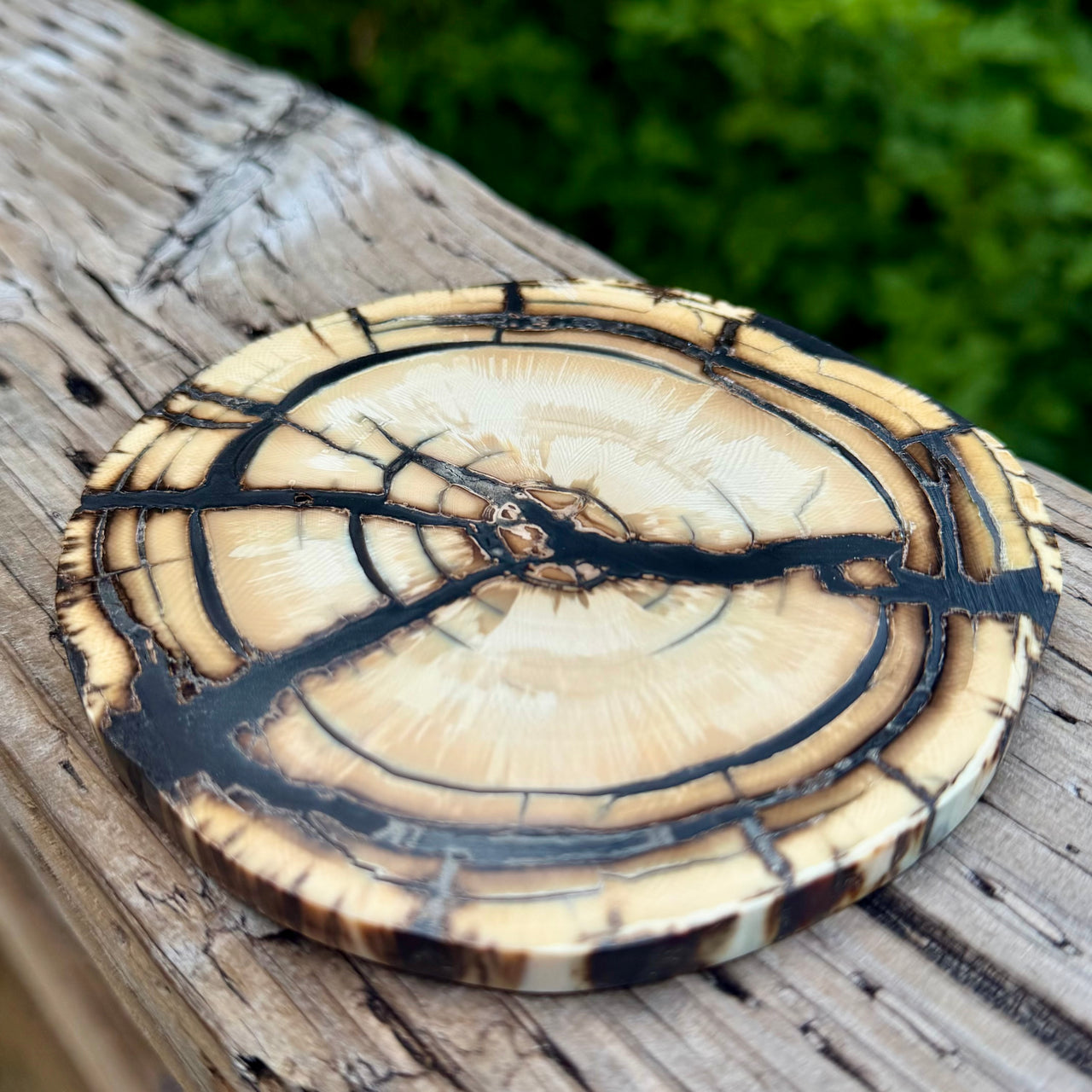 Mammoth Ivory Slice