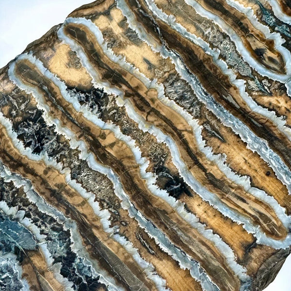 Assorted Mammoth Tooth Piece