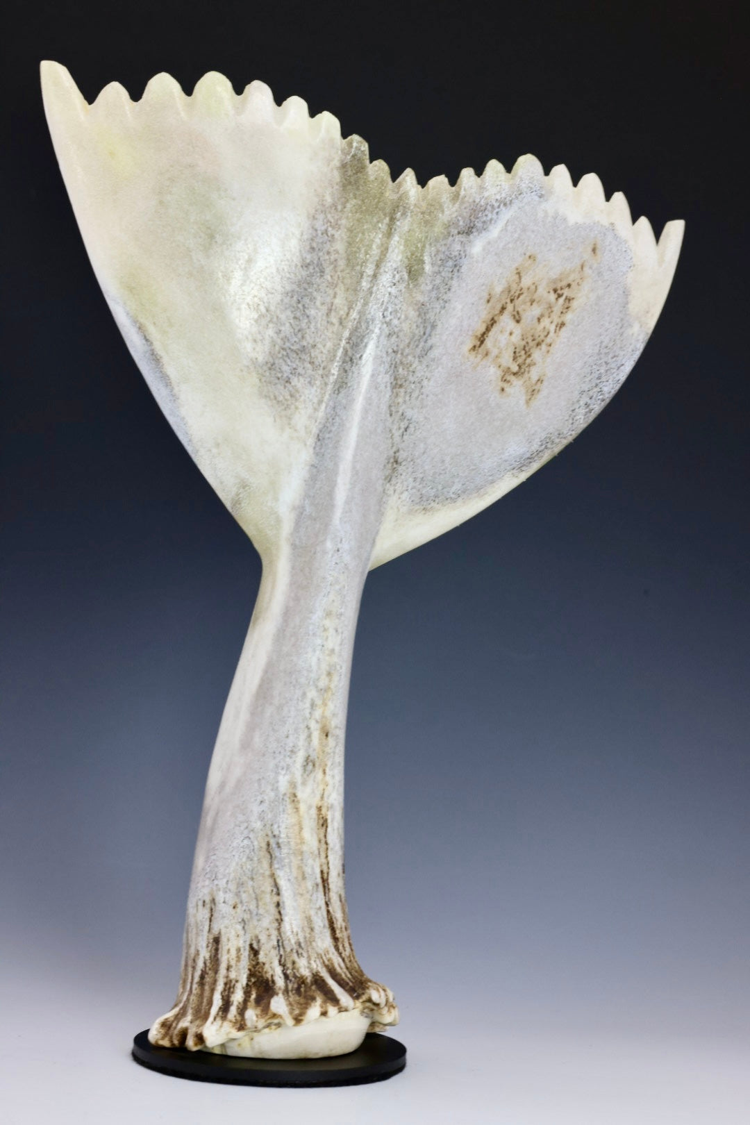 Whale Tail Carving – Fish Creek Company