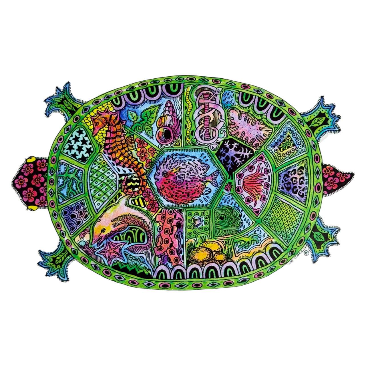 Turtle Card