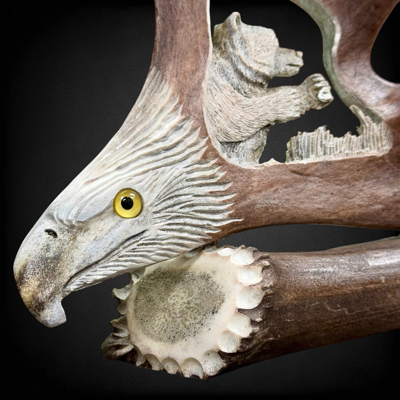 Bear - Antler Carving