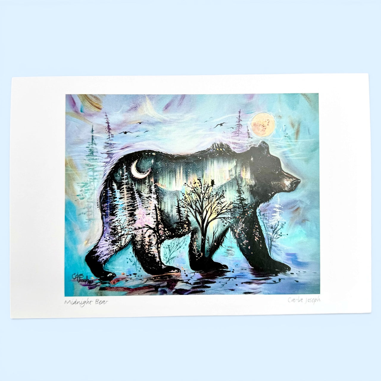 Midnight Bear