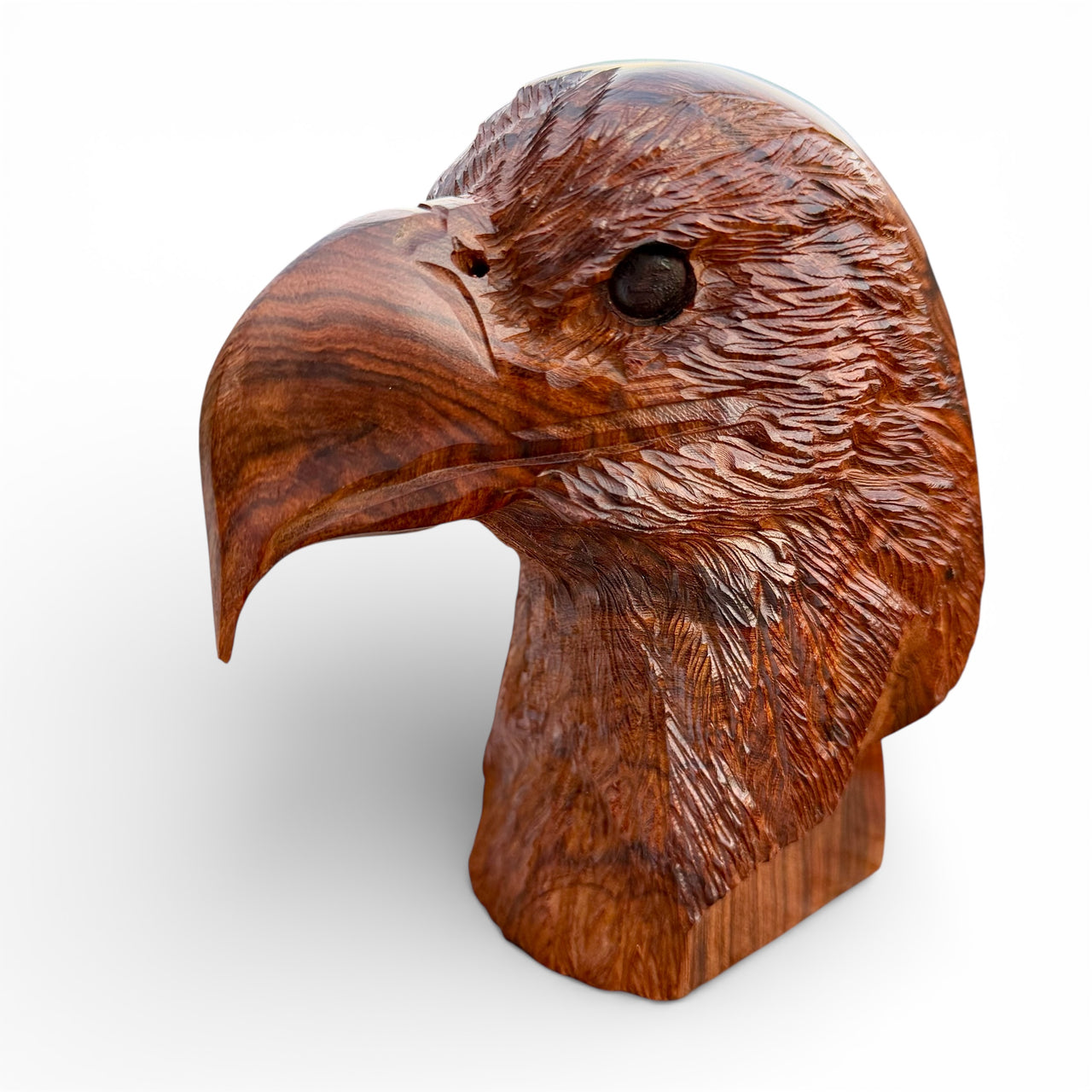 Eagle Bust