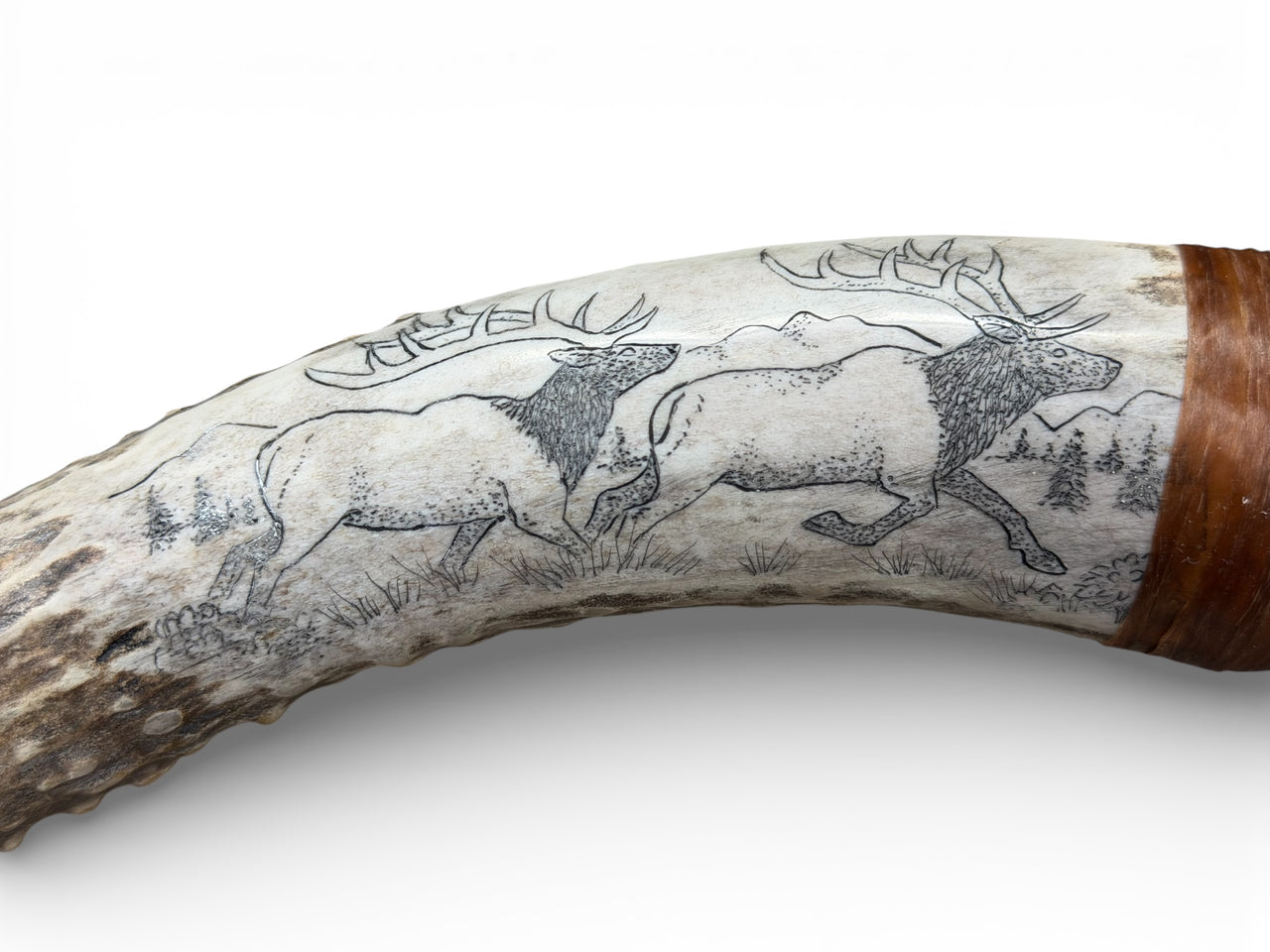 XL Obsidian & Scrimshaw