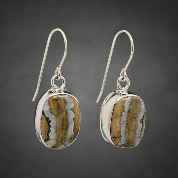 Mammoth Tooth Earrings
