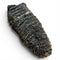 Woolly Mammoth Tooth