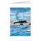 Whale Song
