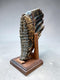 Woolly Mammoth Tooth