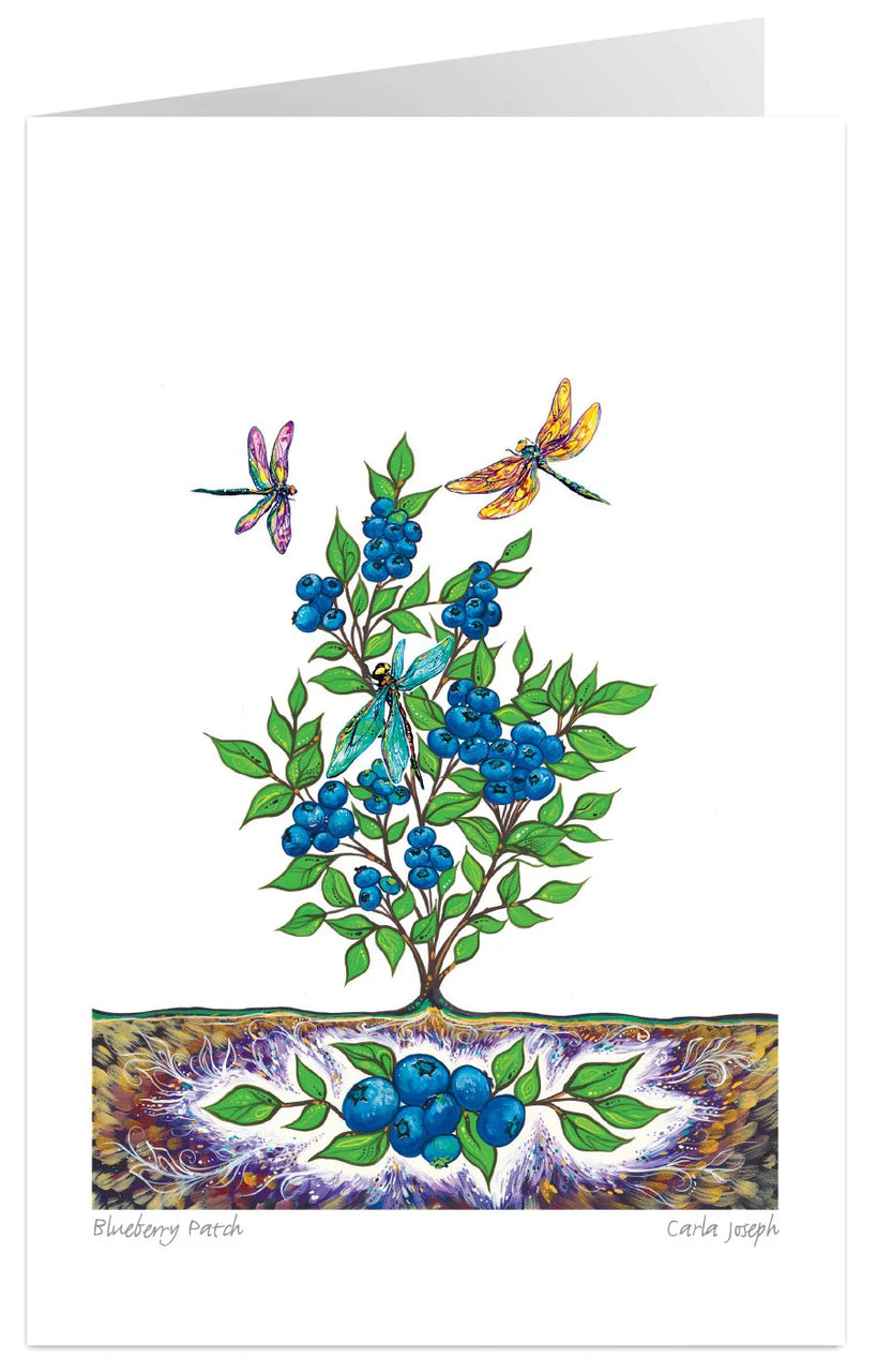 Blueberry Patch