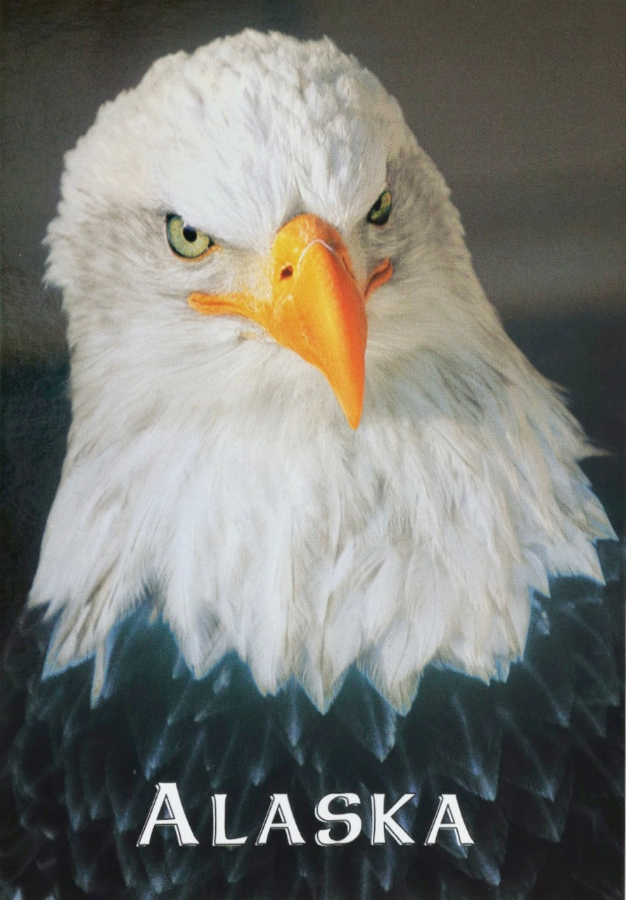 Eagle Postcard