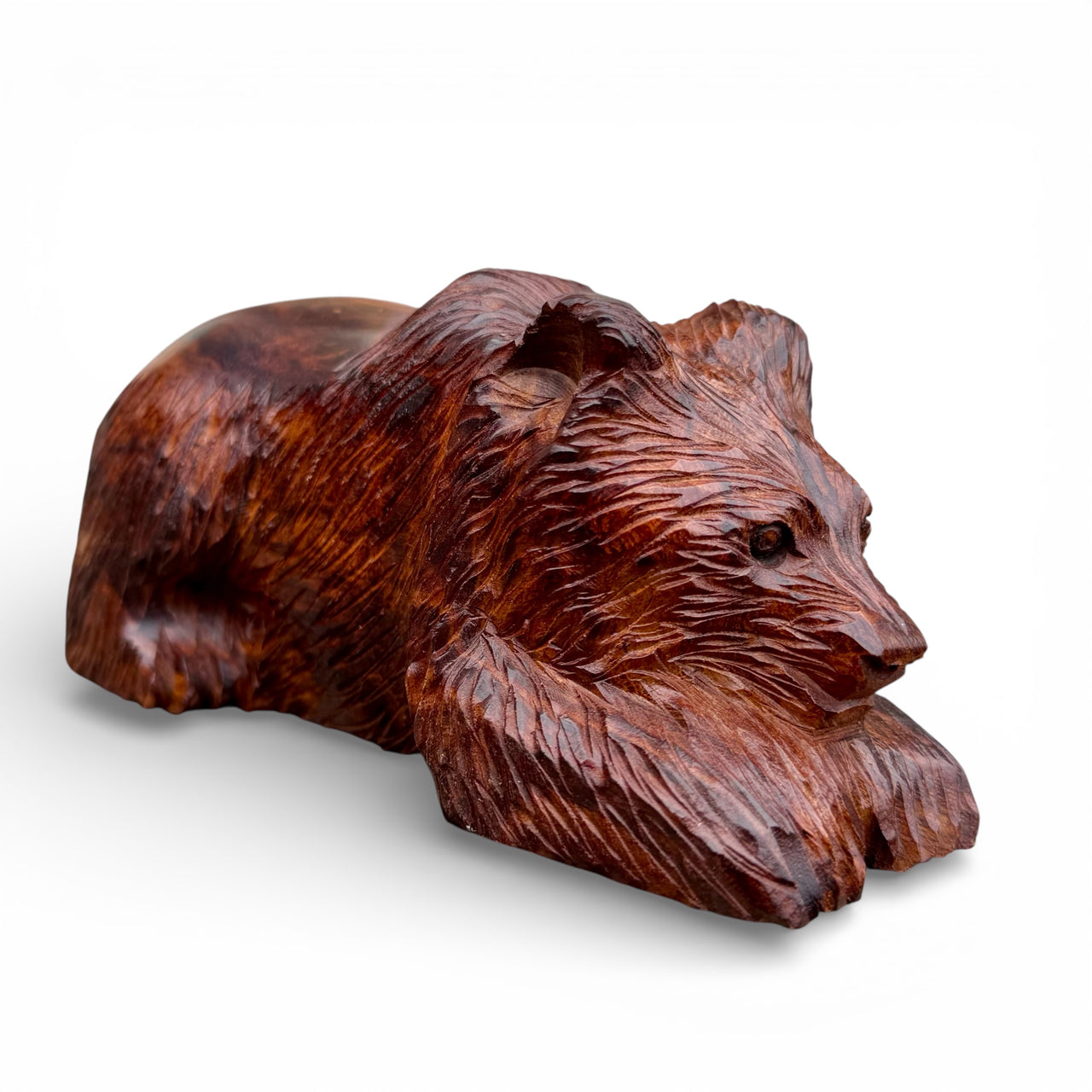 Resting Bear