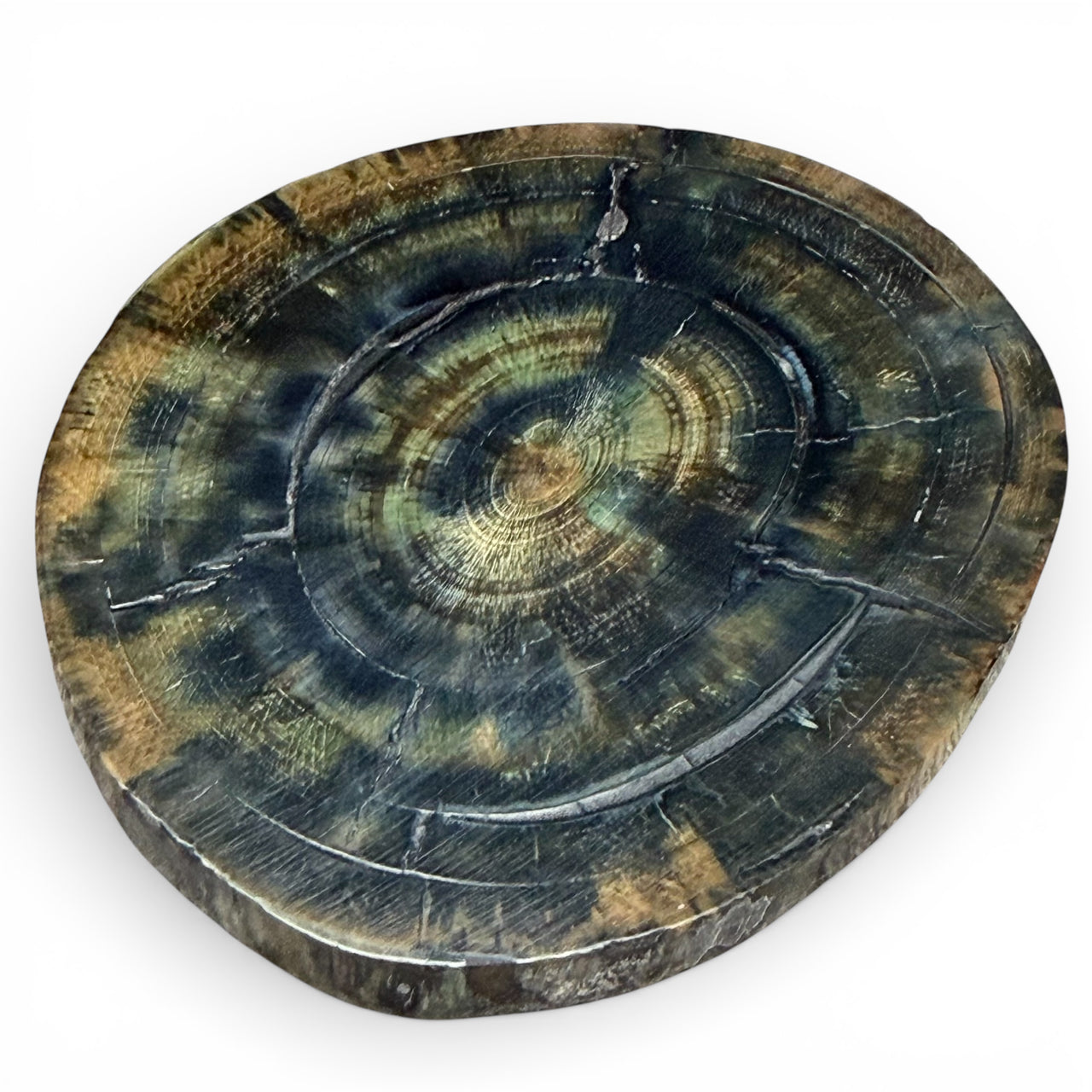 Mammoth Ivory Slice
