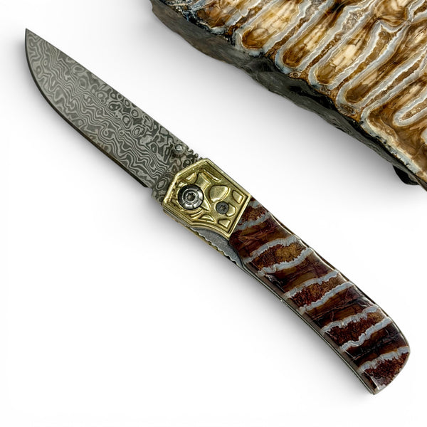 Mammoth Tooth & Damascus Knife