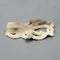 Ivory Octopus Carving