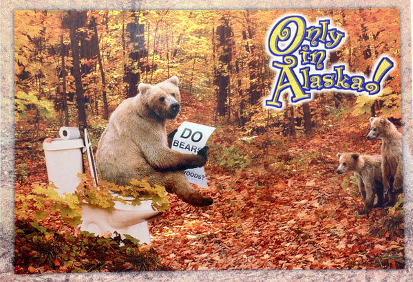 Only in Alaska Postcard
