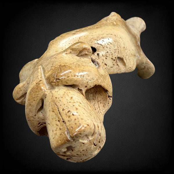 Bear Partial Jawbone Carving