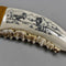 XL Jaw & Scrimshaw
