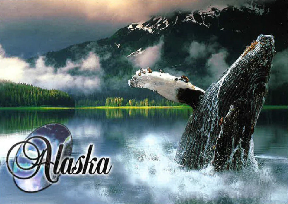 AK Humpback Whale Postcard