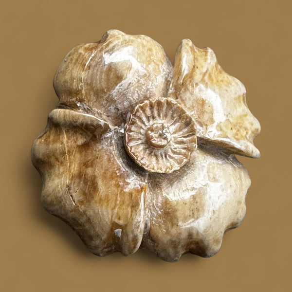 Mammoth Ivory Sitka Rose Brooch