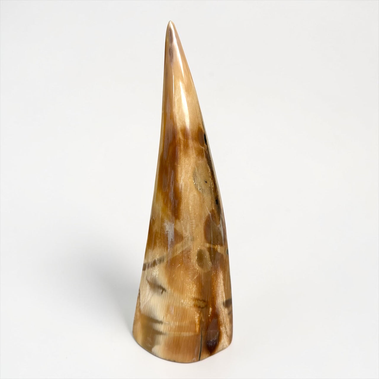 Mammoth Ivory Tusk