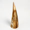 Mammoth Ivory Tusk