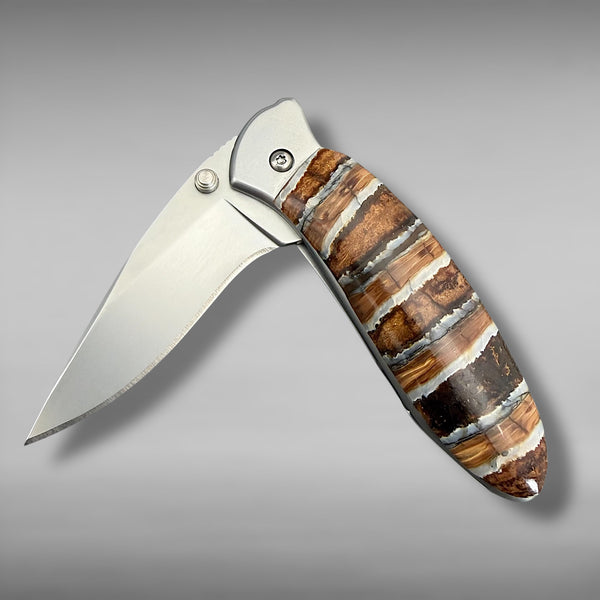 Kershaw 1600 w/ Mammoth Tooth