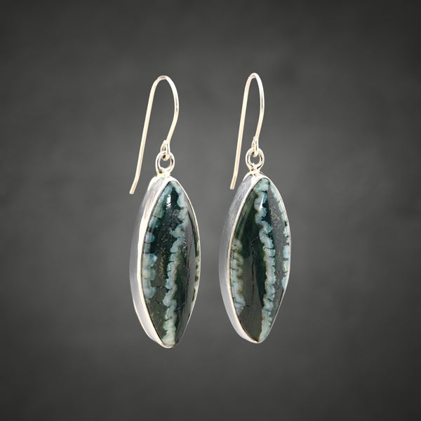Mammoth Tooth Earrings