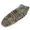 Woolly Mammoth Tooth