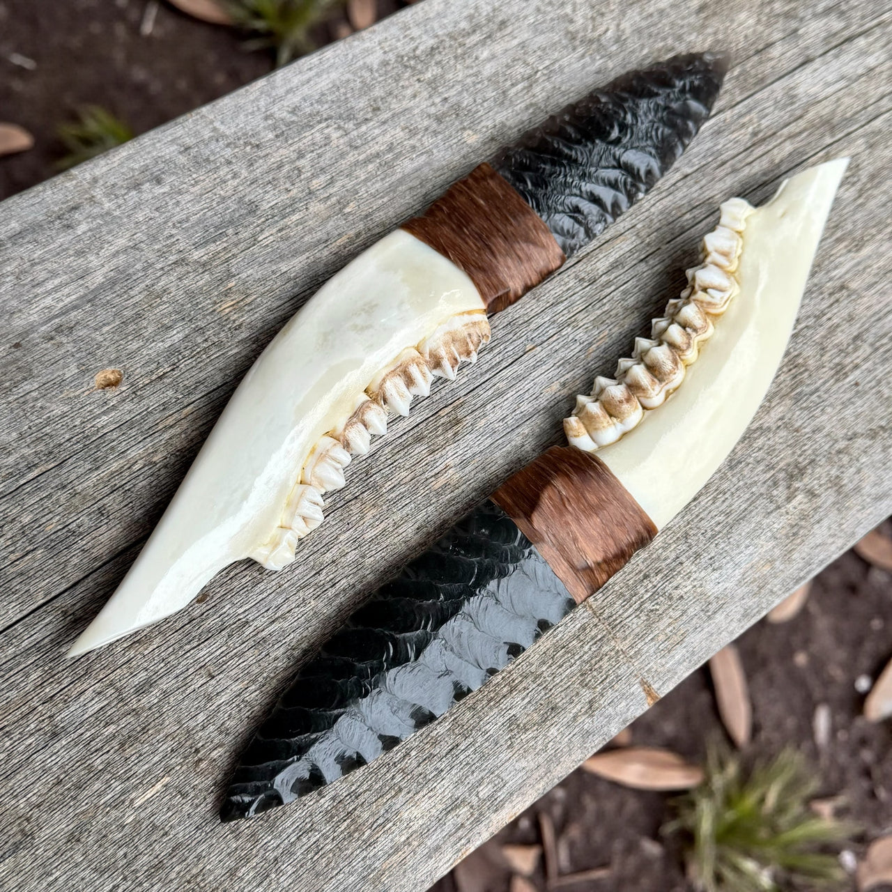 Deer Jawbone & Obsidian