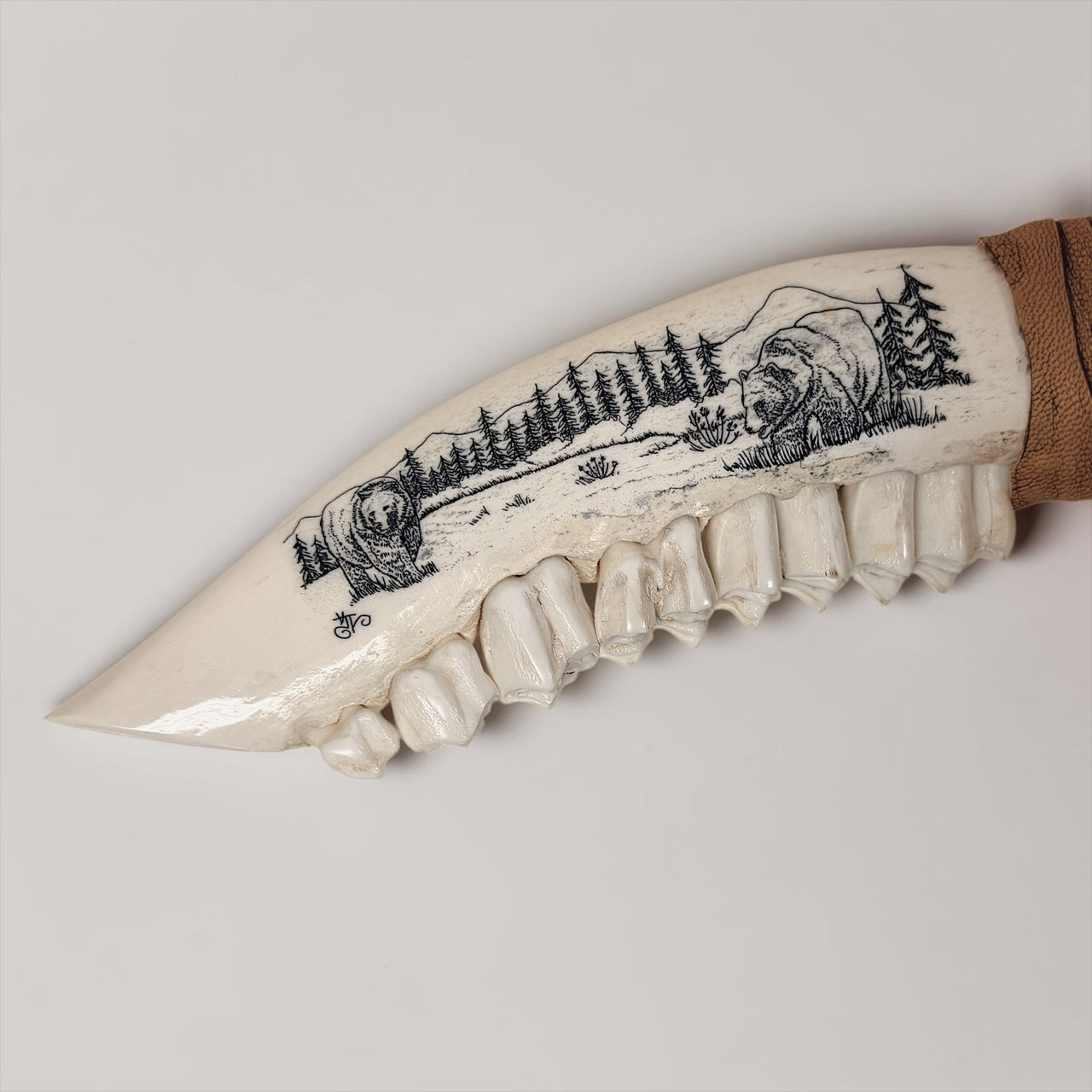 XL Jaw & Scrimshaw