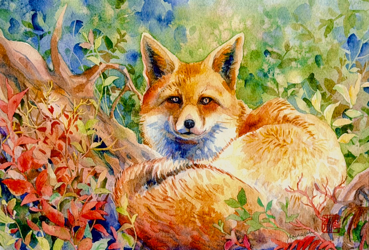 Alaskan Fox