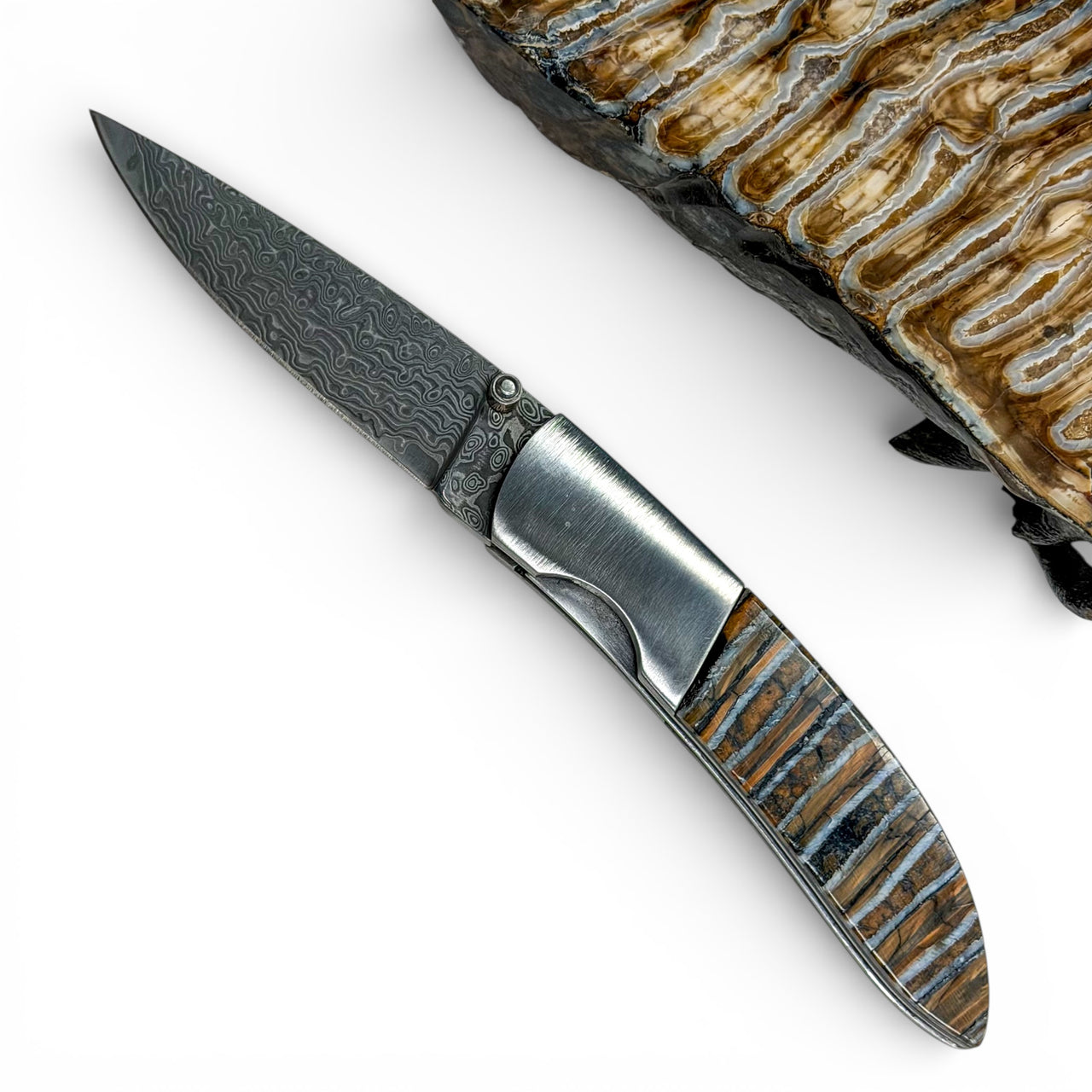 Mammoth Tooth w/ Damascus