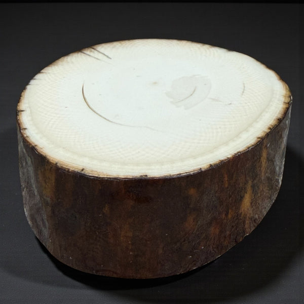 Mammoth Ivory Slice