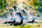 Waterfall View