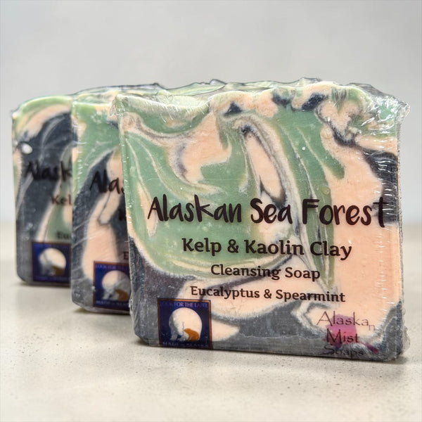 Alaskan Sea Forest