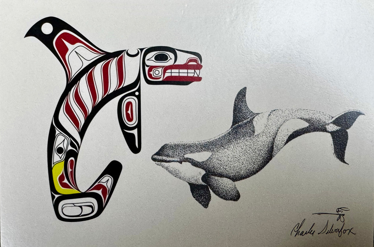 Killer Whale Postcard