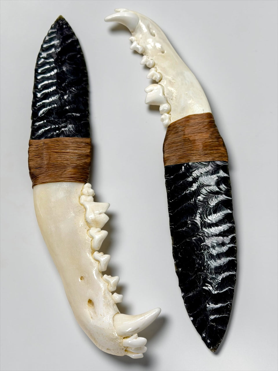 Wolf Jawbone Obsidian Blade Knife