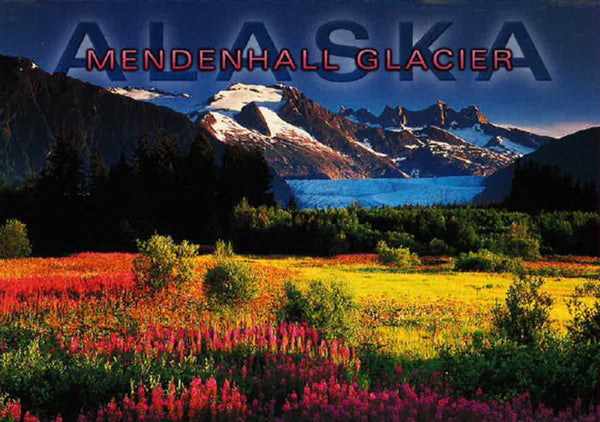 Mendenhall Glacier Postcard