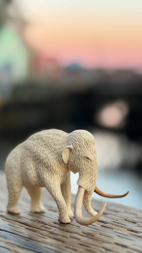 Woolly Mammoth Carving