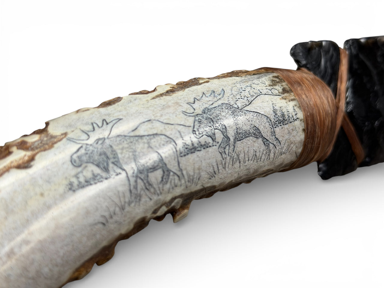 XL Obsidian & Scrimshaw